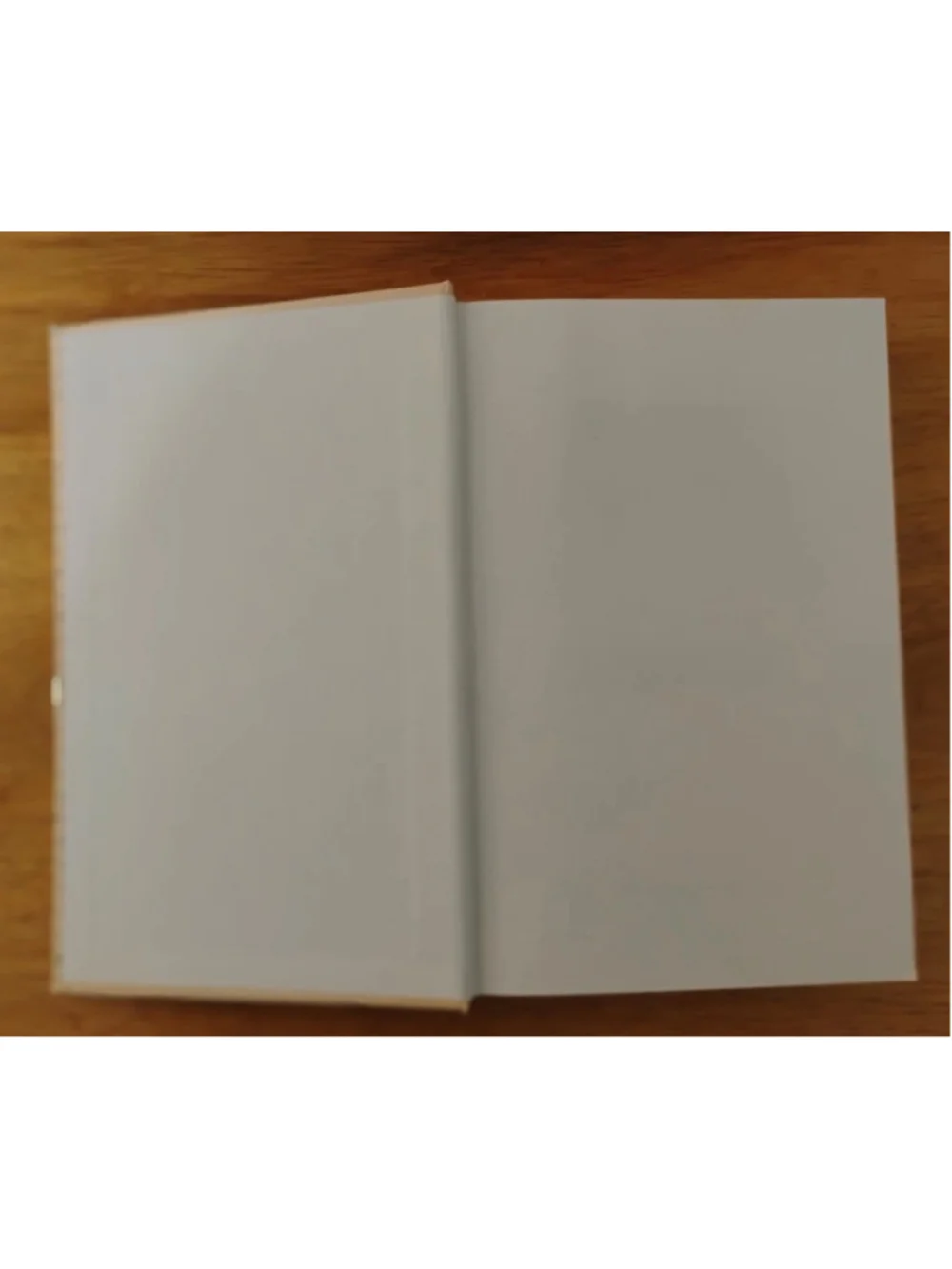 Hardcover THY WILL BE DONE by Lyle D. Chupp